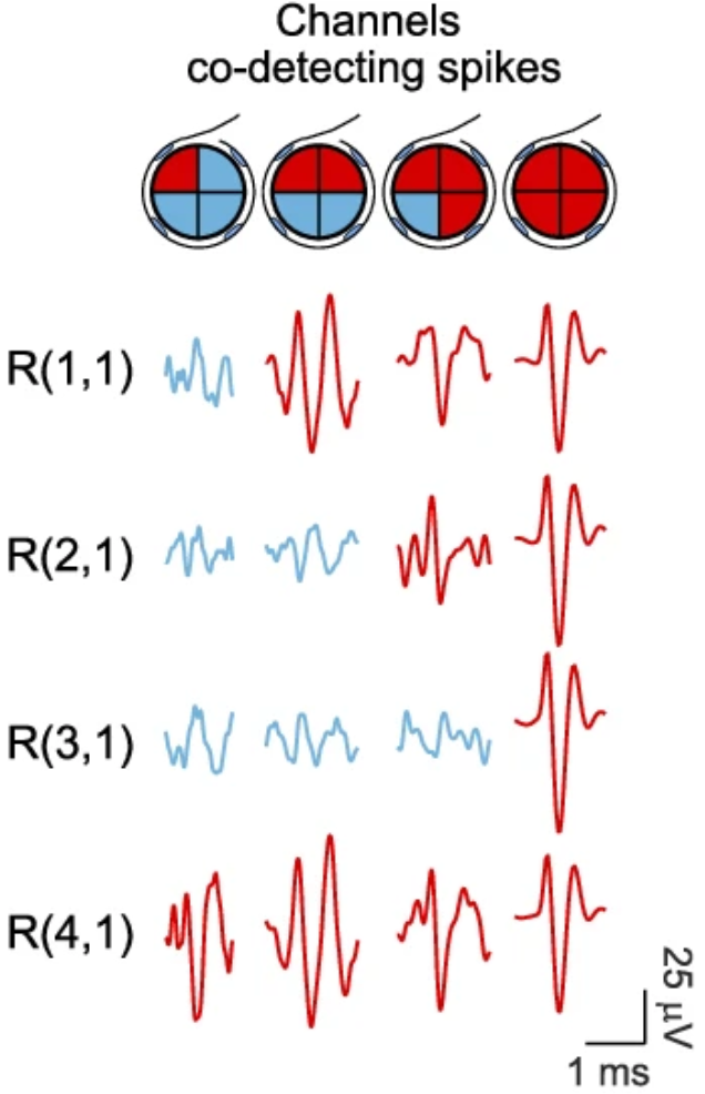 Sub-Fascicular Stimulation Results