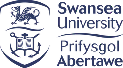 Swansea University